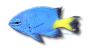 2894.jpg