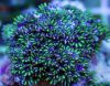 8556.jpg